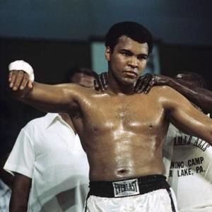 Meet your Posher, Derrick